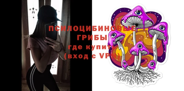 МДПВ Алексин